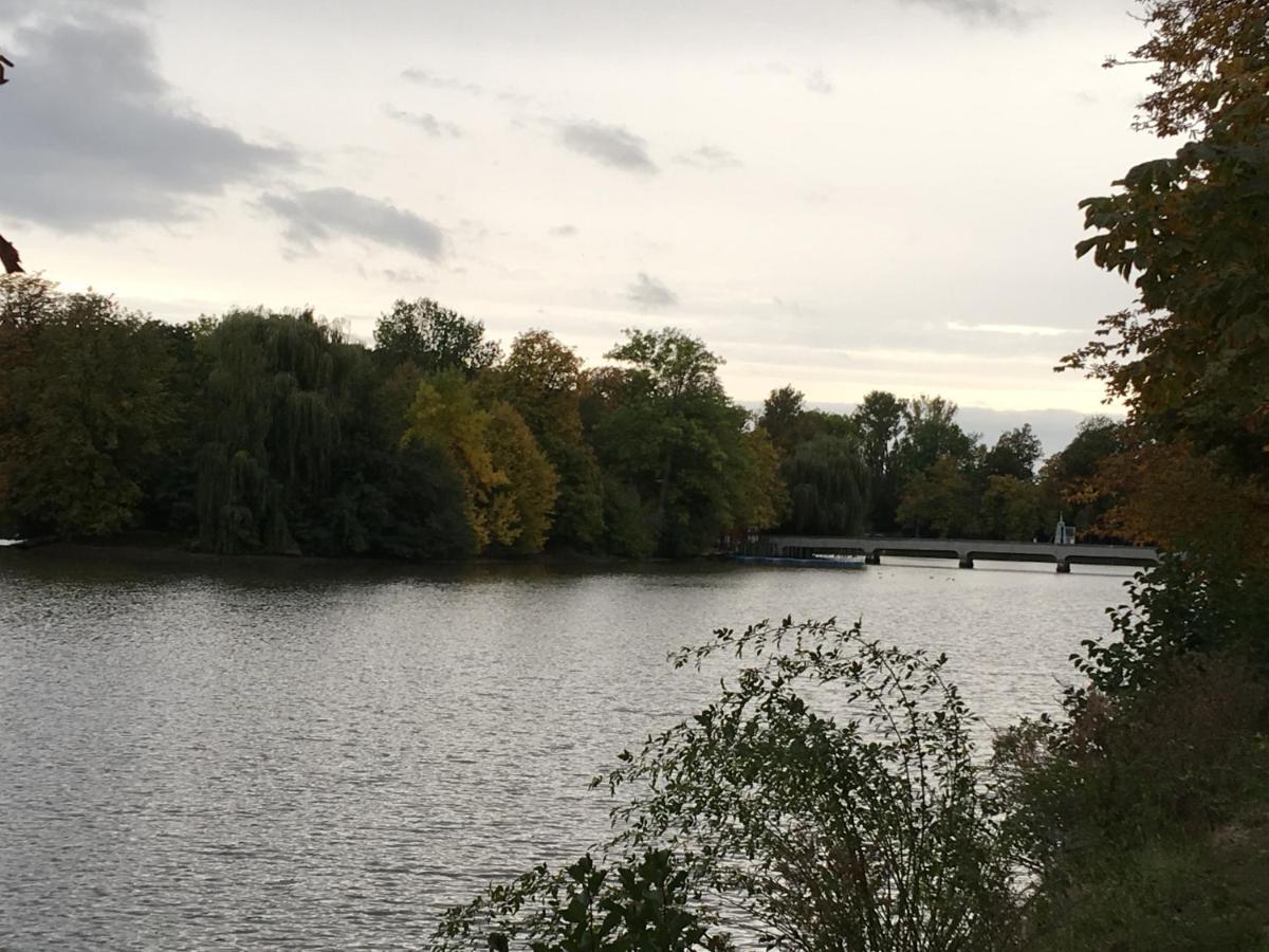 Ferienwohnung Altenburg Am Grossen Teich Eksteriør billede